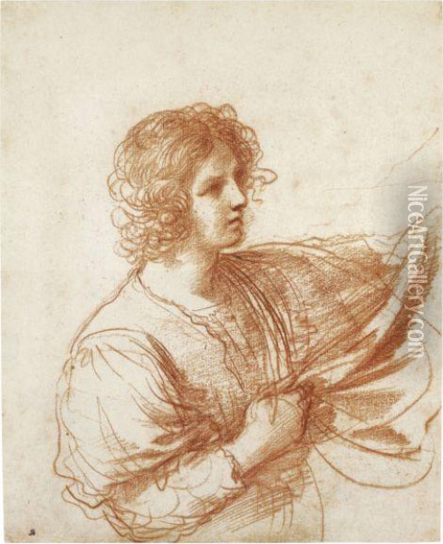 Study Of A Youth Holding A Swag Of Drapery Oil Painting - Guercino