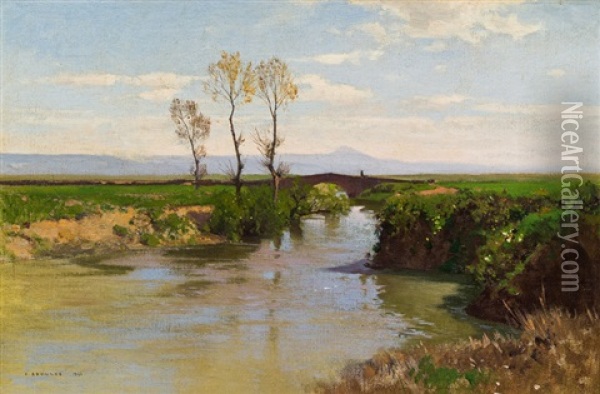 Weite Flusslandschaft Oil Painting - Ferdinand Brunner