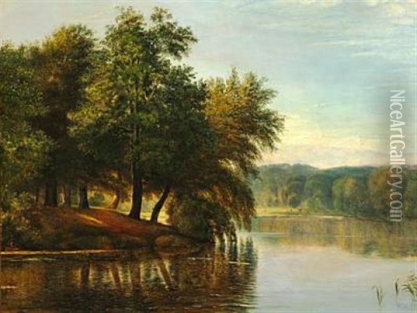 Danish Late Summer Landscape With Tall Trees At A Stream Oil Painting - Thorald Brendstrup