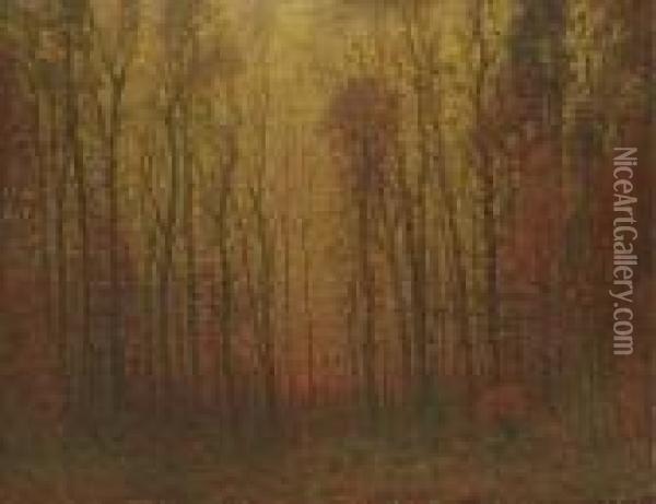 Sunset Through The Woods Oil Painting - John Joseph Enneking