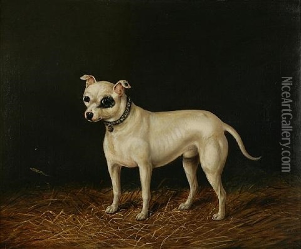 Standing White Bull Terrier Oil Painting - James Clark