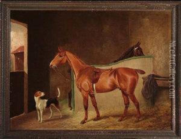 A Portrait Of A Chestnut Hunter In A Stall With A Hound And A Bayhorse Nearby Oil Painting - Colin Graeme Roe