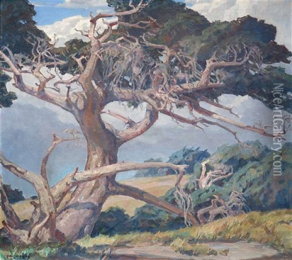 Monterey Cypress Oil Painting - Carl Oscar Borg
