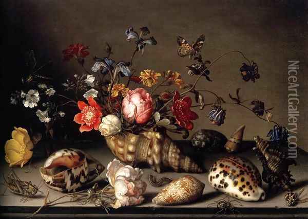 Still-Life of Flowers, Shells, and Insects 2 Oil Painting - Balthasar Van Der Ast