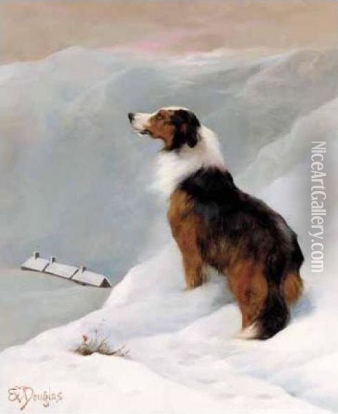 Collie In The Snow Oil Painting - Edwin Douglas
