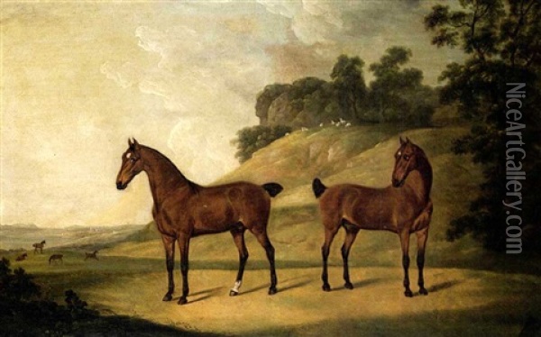 Two Bay Carriage Horses, The Property Of John Ashton Of     Woolton Hall, Liverpool, Lancashire Oil Painting - Francis Sartorius the Elder