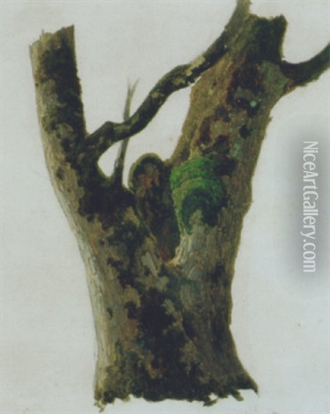 Baum Oil Painting - Friedrich Gauermann