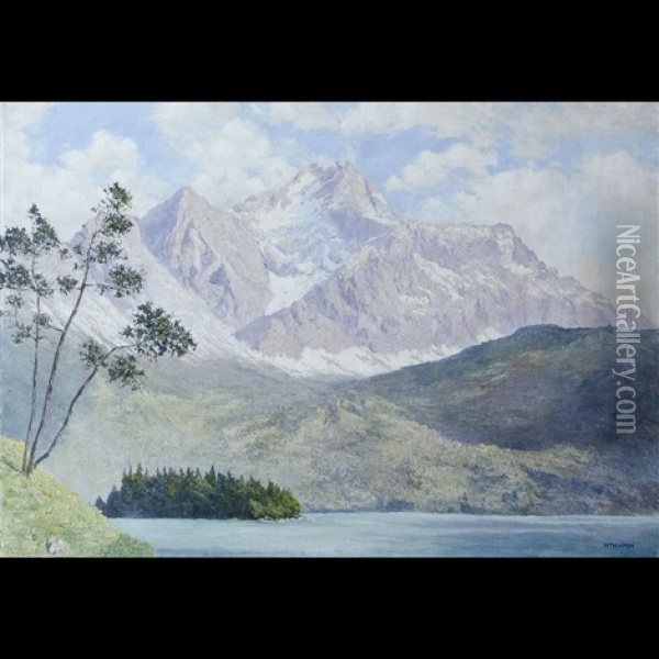 Il Bergwiese Presso Garmisch Oil Painting - Walter Thamm