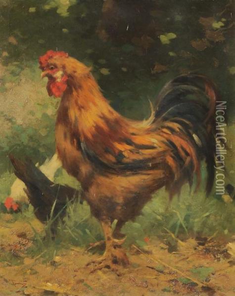 Il Gallo Oil Painting - Alfredo Tominz