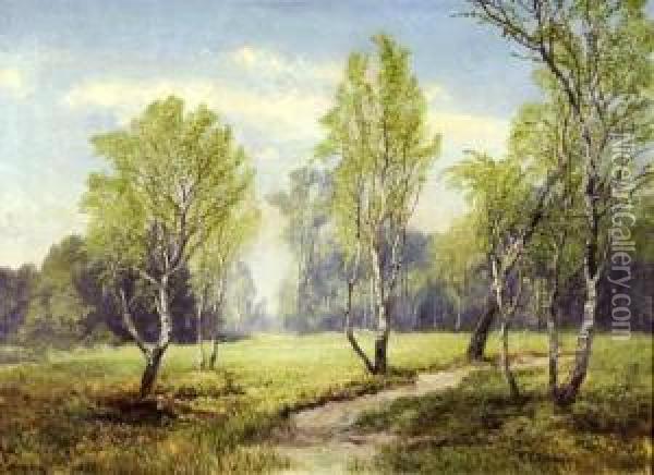 Birkenlandschaft Mit Bachlauf Oil Painting - Konrad Petrides
