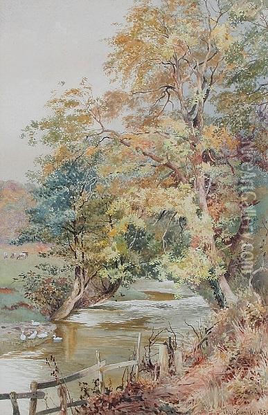 A Wooded Stream With Ducks Oil Painting - Thomas Bushby