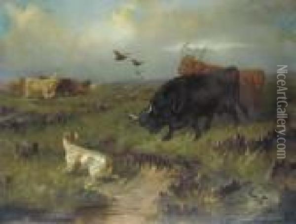 Highland Cattle, With A Setter And Grouse On The Moor Oil Painting - Colin Graeme Roe