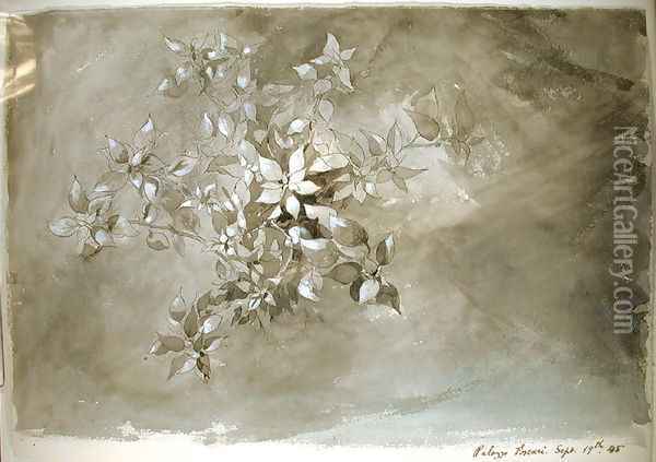 Study of foliage, 1845 Oil Painting - John Ruskin