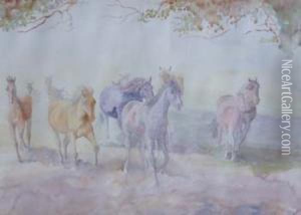 Horse Studies Oil Painting - George Soper