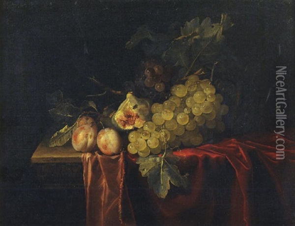 Grapes, Plums, Figs And A Melon On A Partly Draped Stone Ledge Oil Painting - Willem Van Aelst