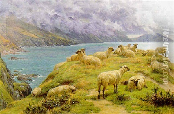 Sheep Reposing, Dalby Bay, Isle Of Man Oil Painting - Basil Bradley
