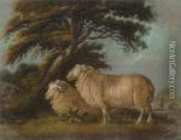 Two Sheep Oil Painting - Benjamin Zobel