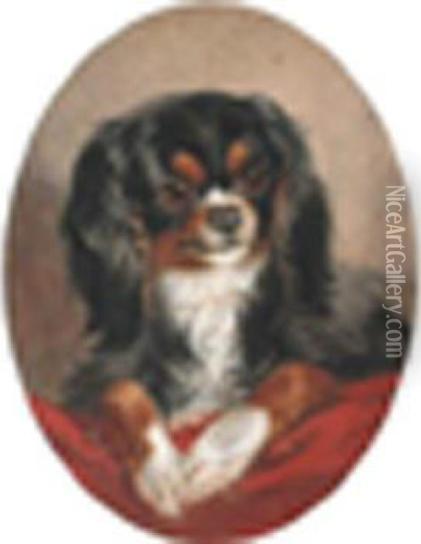 Acavalier King Charles Spaniel On A Red Cushion Oil Painting - Louisa Corbaux