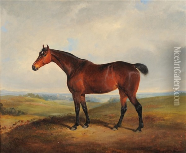 Hunter Standing In A Sunlit Landscape Oil Painting - William Malbon