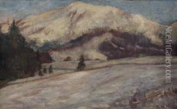 Winterlandschaft Oil Painting - Karl Hermann Muller-Samerberg