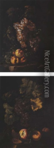 Grappes De Raisins Et Peches Sur Un Entablement Oil Painting - Giovanni Paolo Castelli (lo Spadino)