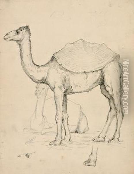 Studie Von Zwei Kamelen Oil Painting - Leopold Carl Muller