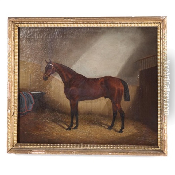 Horse In Stable Oil Painting - James Clark