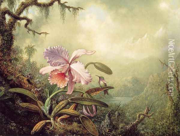 Heliodores Woodstar And A Pink Orchid Oil Painting - Martin Johnson Heade
