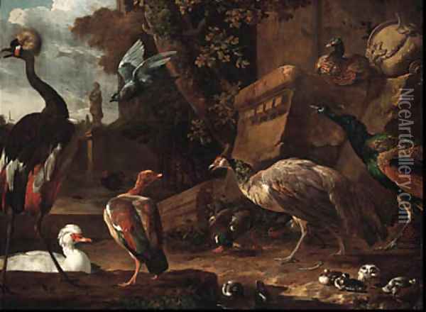 An East African Crane, a White Snow Goose, a Dutch Goose Oil Painting - Melchior D'Hondecoeter