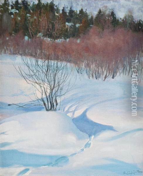 Winter Landscape Oil Painting - Berndt Lagerstam