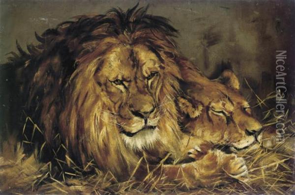 A Lion And Lioness Resting Oil Painting - Geza Vastagh