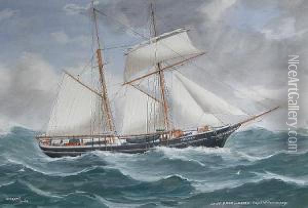 'jane Knox Of Goole, Capt.w.farmery', A Shipportrait Oil Painting - Reuben Chappell Of Poole