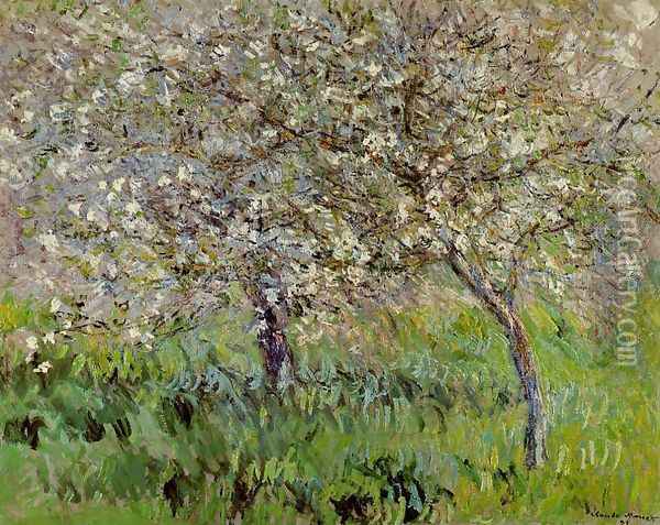 Apple Trees In Bloom At Giverny Oil Painting - Claude Oscar Monet