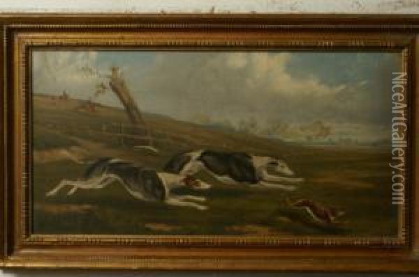 Hare Coursing Oil Painting - Henry Thomas Alken