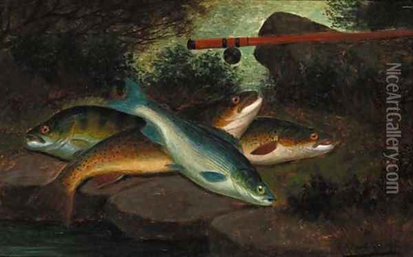 A trout, grayling and a perch Oil Painting - A. Roland Knight