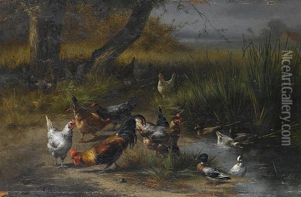 Poultry And Ducks By A Pond Oil Painting - Eugene Remy Maes