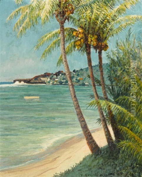 Black Point From Kahala Shore Oil Painting - David Howard Hitchcock
