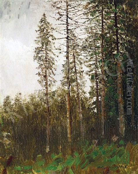 Pine Forest Oil Painting - Laszlo Mednyanszky