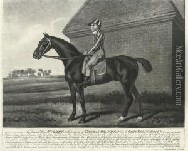 The Famous Horse Pyrrhus Oil Painting - George Stubbs