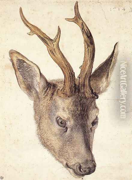 Head of a Stag Oil Painting - Albrecht Durer