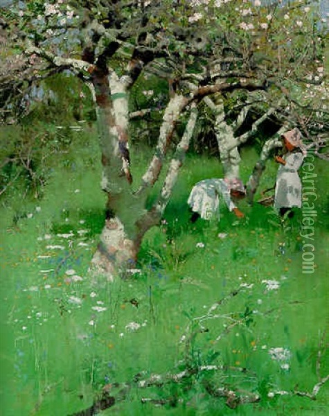 A Cornish Orchard Oil Painting - Frank Richards