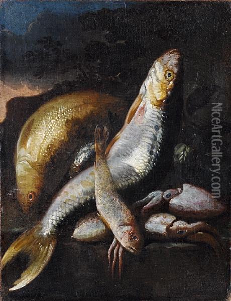 A Carp, A Mullet, Squid And Other Fish On Astone Ledge Before A Landscape Oil Painting - Elena Recco