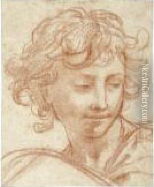 Study Of The Head Of A Youth Oil Painting - Pietro Da Cortona (Barrettini)