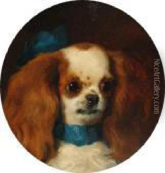 A King Charles Spaniel Wearing A Bluebow Oil Painting - George W. Horlor