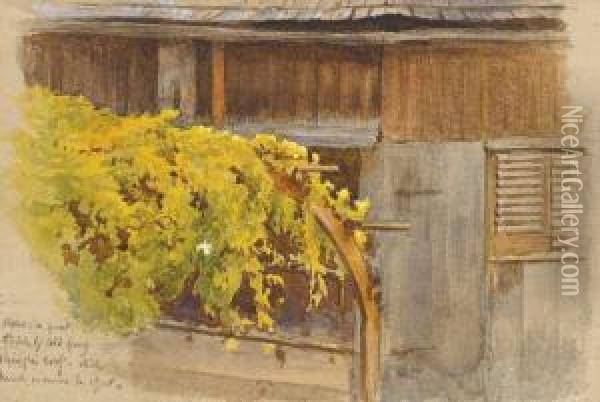 Yellow Flowers Oil Painting - Frederick William Burton