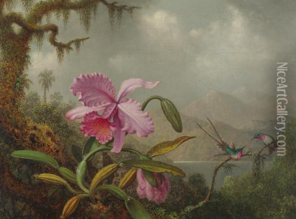 Orchids And Hummingbirds Oil Painting - Martin Johnson Heade
