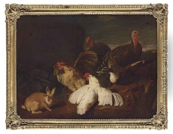 Hens, Turkeys, A Duck And A Rabbit, In A Park Landscape Oil Painting - Giovanni Agostino (Abate) Cassana
