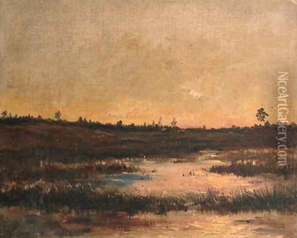 An evening view of a boggy landscape in Drente Oil Painting - Hendrik Willem Mesdag