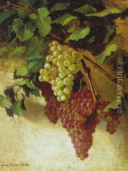 Still Life Of Grapes Oil Painting - Sarah Bender de Wolfe