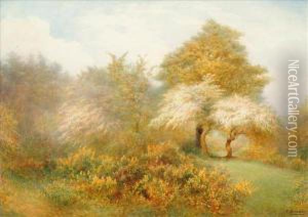 Spring Epping Near Buckhurst Hill Oil Painting - Frederick Henry Evans